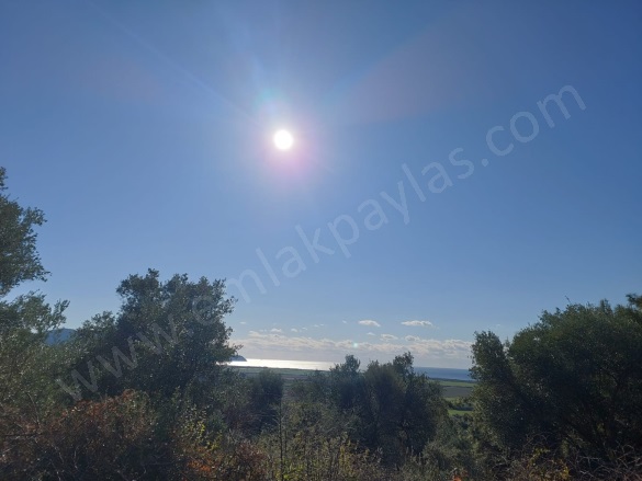 Fevziye Ortaca Satılık Arazi |  19500M2 32.000.000Tl Resim-3