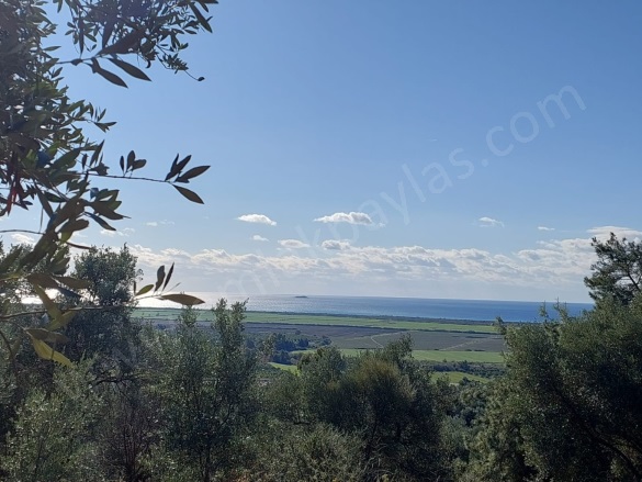 Fevziye Ortaca Satılık Arazi |  19500M2 32.000.000Tl Resim-5
