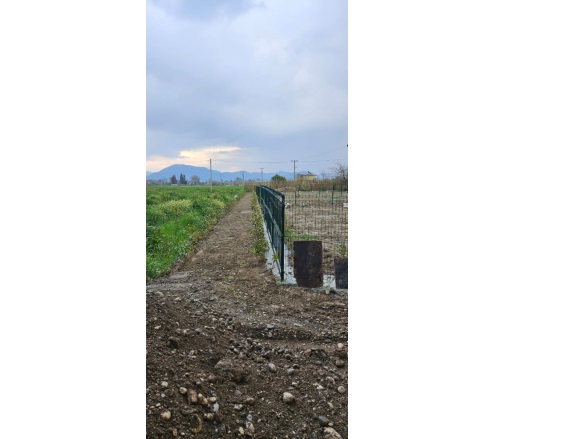 Fevziye Ortaca Satılık Arazi |  7350M2 40.000.000Tl Resim-3