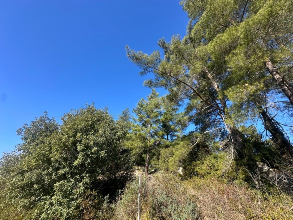 Karacaagaç Dalaman Satılık Arsa |  1527M2 11.000.000Tl Resim-3