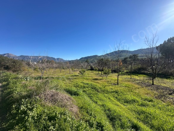 Karacaagaç Dalaman Satılık Arsa |  1527M2 11.000.000Tl Resim-5