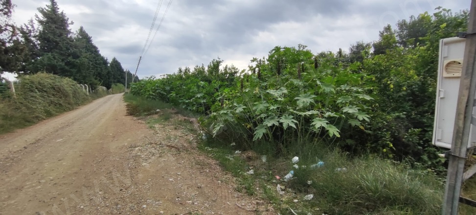 Fevziye Ortaca Satılık Arsa |  6200M2 12.000.000Tl Resim-1