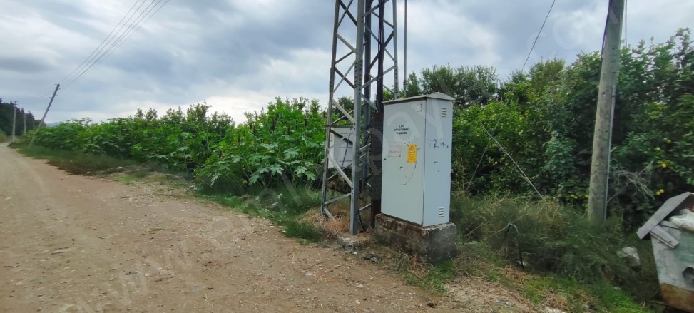 Fevziye Ortaca Satılık Arsa |  6200M2 12.000.000Tl Resim-2