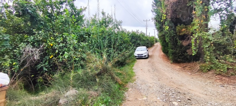 Fevziye Ortaca Satılık Arsa |  6200M2 12.000.000Tl Resim-3