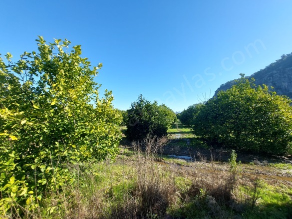 Okçular Ortaca Satılık Arsa |  2200M2 16.000.000Tl Resim-2