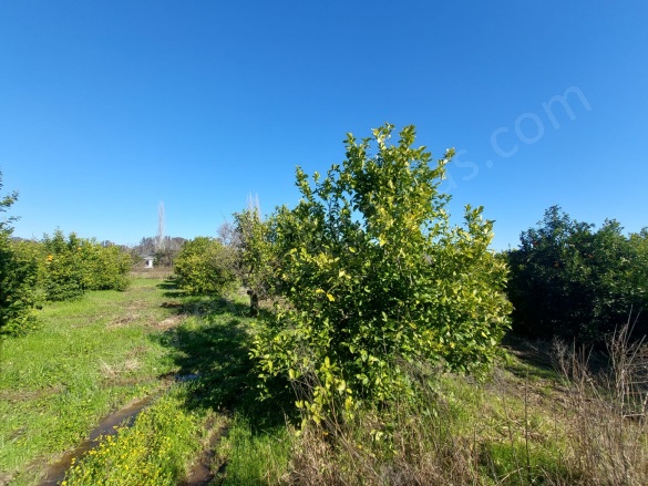 Okçular Ortaca Satılık Arsa |  2200M2 16.000.000Tl Resim-3