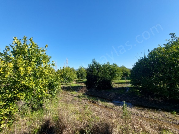 Okçular Ortaca Satılık Arsa |  2200M2 16.000.000Tl Resim-4