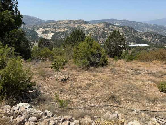 Denizli Çameline Yakın 666M2 Tek Tapu Lar Satılık Tarla