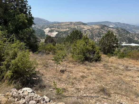 Denizli Çameline Yakın 666M2 Tek Tapu Lar Satılık Tarla