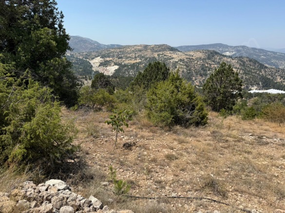 - Çameli Satılık Tarla |  666M2 275.000Tl Resim-3