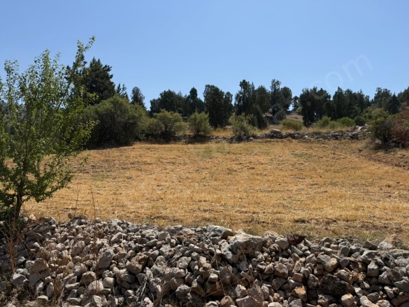 - Çameli Satılık Tarla |  666M2 275.000Tl Resim-4