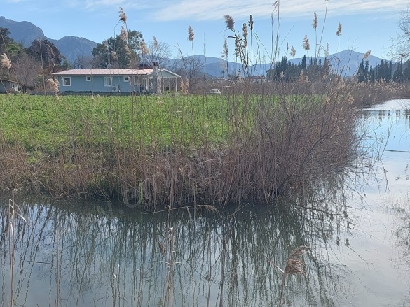 Dalyan Ortaca Satılık Müstakil Ev |  2+1 Oda | 1000M2 6.500.000Tl Eşyalı  | Müstakil | 1 Banyo | 2 Yatak Odası Resim-5