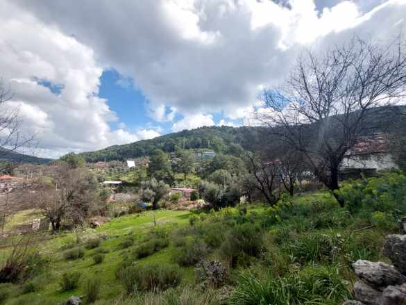 Ortaca Gökbel De Çam Ormanına Sıfır 2 100M2 Doga Manzaralı Satılık Arazi