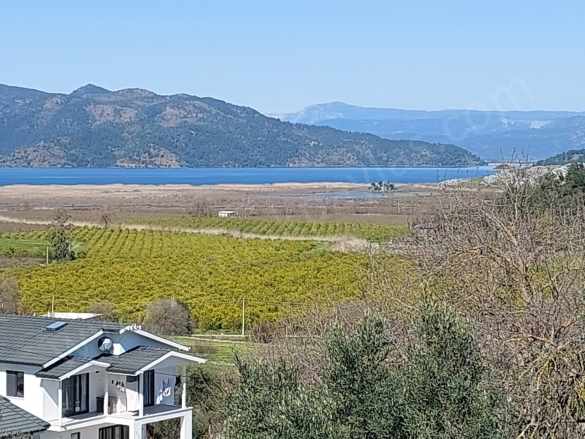 Ortaca Dalyan Da 1 000 M2 Göl Manzaralı Zeytinlik Hazine Si Zilliyet Hakkı Devir Edilecek Satılık Arazi