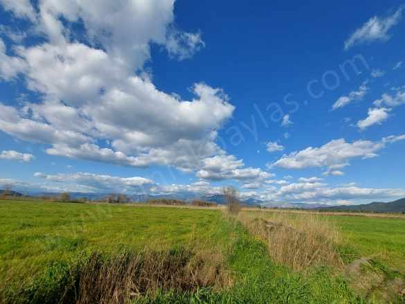 Muğla Ortaca Eskiköy De 27 800 M² Müstakil Satılık Tarla