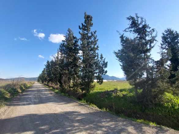 Muğla Ortaca Eskiköy De 27 800 M² Müstakil Satılık Tarla