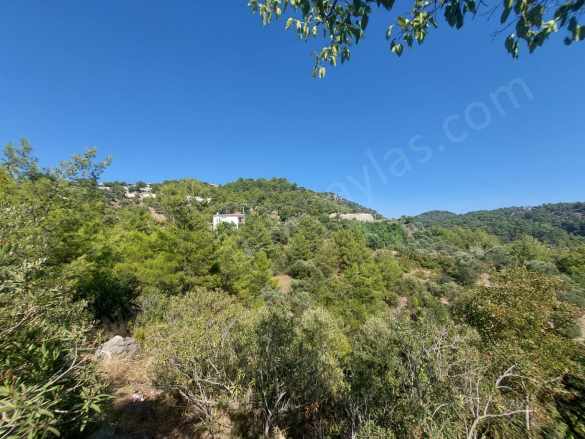 Muğla Ortaca Gökbel’De Satılık Arsa Müstakil Tapulu 238 M2 Hobi Bahçesi