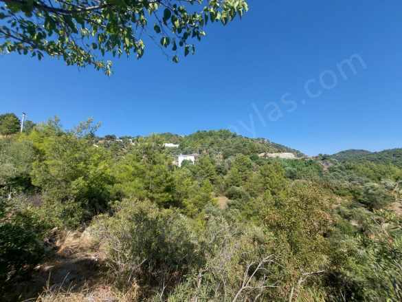 Muğla Ortaca Gökbel’De Satılık Arsa Müstakil Tapulu 238 M2 Hobi Bahçesi