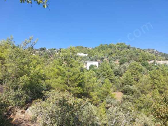 Muğla Ortaca Gökbel’De Satılık Arsa Müstakil Tapulu 238 M2 Hobi Bahçesi