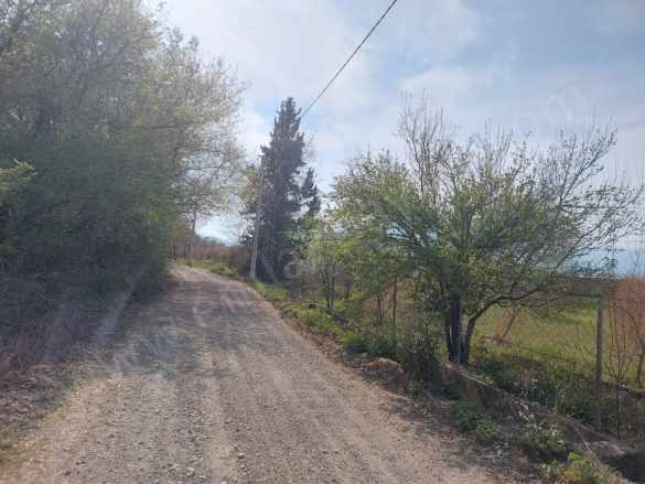 Muğla Ortaca Eskiköyde 8 000M2 + 000 M2 Müstakil Nar Sı Satılık Tarla