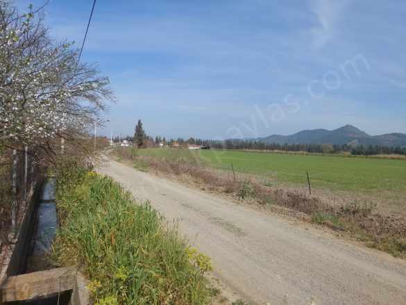 Muğla Ortaca Eskiköyde 8 000M2 + 000 M2 Müstakil Nar Sı Satılık Tarla