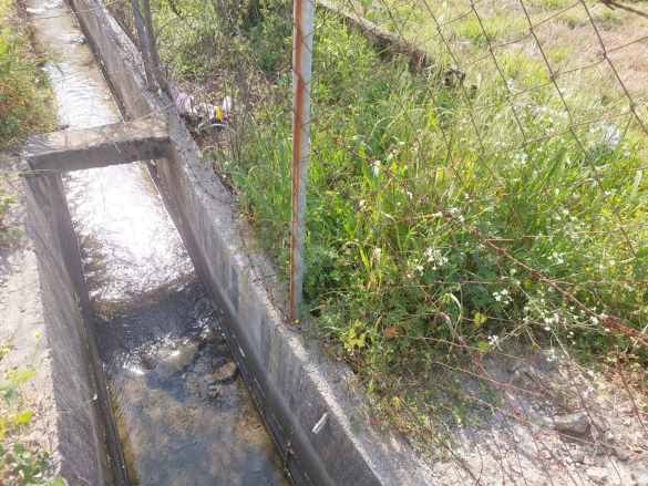 Muğla Ortaca Eskiköyde 8 000M2 + 000 M2 Müstakil Nar Sı Satılık Tarla