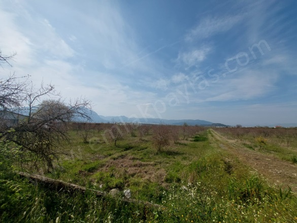 Eskiköy Ortaca Satılık Tarla |  16000M2 1.500.000Tl Resim-4