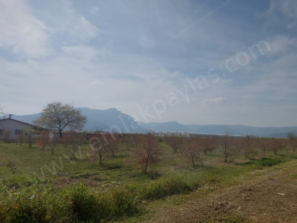 Eskiköy Ortaca Satılık Tarla |  16000M2 1.500.000Tl Resim-5