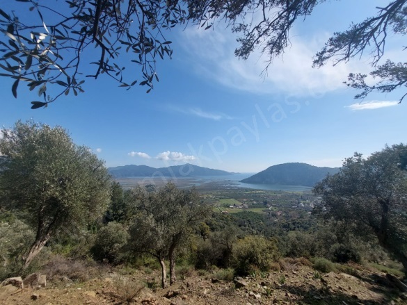 Çandır Köyceğiz Satılık Arazi |  10000M2 10.000.000Tl Resim-3