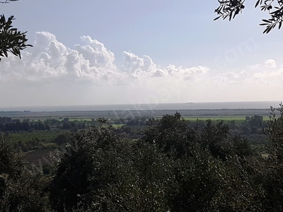 Fevziye Ortaca Satılık Arazi |  7600M2 6.200.000Tl Resim-2