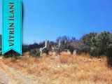 Muğla Dalamanda 42 432 M2 Müstakil Tapulu Satılık Arazi Taşlıburun 42432