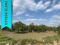 Ortaca Dalyan Satılık Arsa 1500 M2