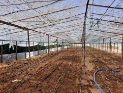 Ortaca Ekşiliyurt Satılık Arazi 4776 M2