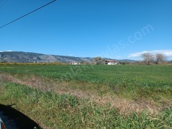 Ortaca Akıncı Satılık Tarla 10380 M2