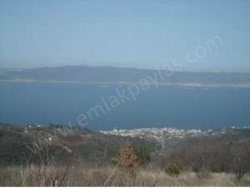 Karamürsel - Satılık Arazi 7534 M2