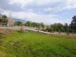 Köyceğiz Yangı Satılık Arazi 6600 M2