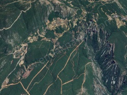 Ula Armutcuk Satılık Tarla 25000 M2