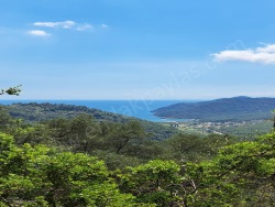 Köyceğiz Ekincik Satılık Arazi 1185 M2