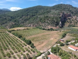 Köyceğiz Çandır Satılık Tarla 33800 M2