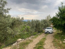 Seydi Kemer Sögütlu Dere Satılık Tarla 2442 M2