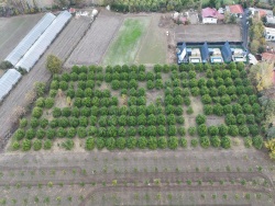 Ortaca Okçular Satılık Arazi 9750 M2