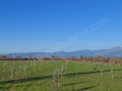 Ortaca Okçular Satılık Tarla 540 M2