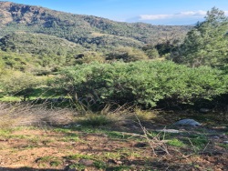 Fethiye İnlice Satılık Arazi 15000 M2