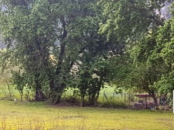 Ortaca Okçular Satılık Arazi 3577 M2