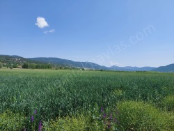 Çameli - Satılık Arsa 5333 M2