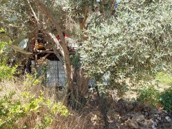 Ortaca Eskiköy Satılık Müstakil Ev 1+1 2500 M2 | 1. Kat | Klima | 1 Banyo | 1 Yatak Odası