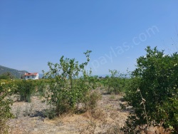 Ortaca Dalyan Kiralık Arazi 5200 M2
