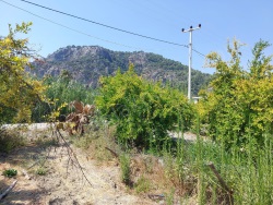 Ortaca Dalyan Satılık Arsa 2800 M2