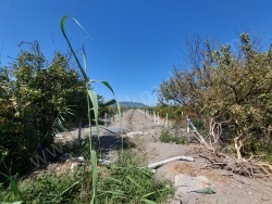 Ortaca Tepearası Satılık Tarla 8126 M2