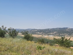 Fethiye Nif Satılık Arazi 2100 M2